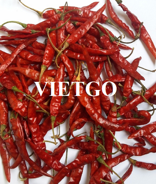 Thương vụ xuất khẩu ớt khô sang thị trường Campuchia