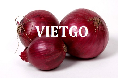 Cơ hội hợp tác xuất khẩu sản phẩm hành đến thị trường Ả Rập Xê Út