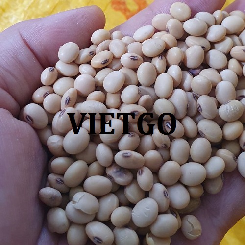 Thương vụ xuất khẩu sản phẩm đậu nành đến từ vị khách hàng người Indonesia