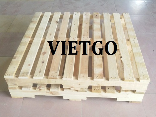Thương vụ xuất khẩu 120.000 chiếc pallet sang thị trường Bồ Đào Nha