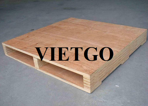 Thương vụ xuất khẩu pallet sang thị trường Malaysia