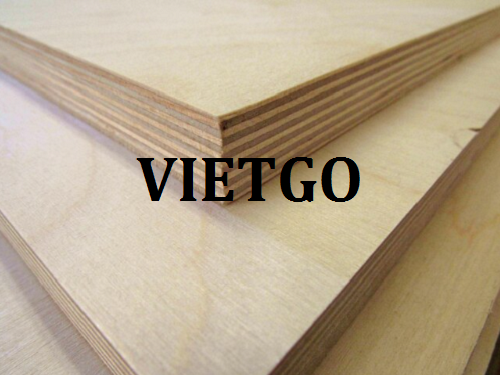 Thương vụ xuất khẩu gỗ dán sang thị trường Ai Cập