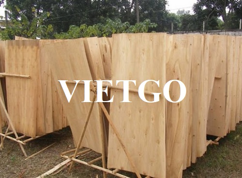 Thương vụ xuất khẩu 10 container 40ft ván bóc sang thị trường Ai Cập
