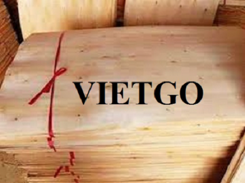 Thương vụ xuất khẩu ván bóc sang thị trường Trung Quốc