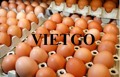 Có hội hợp tác với doanh nghiệp tại Indonesia cho đơn hàng trứng gà