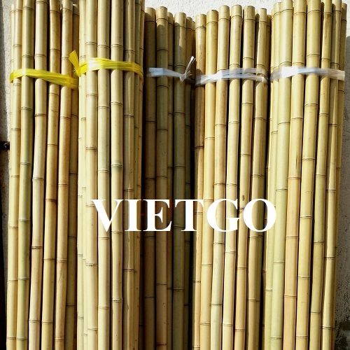 Vị khách hàng người Ba Lan cần tìm nhà cung cấp sản phẩm gậy tre