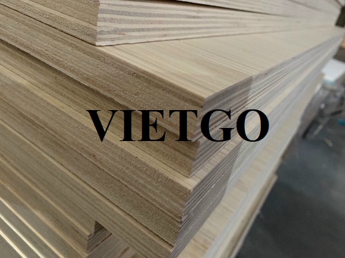 Thương vụ xuất khẩu 3 container gỗ dán sang thị trường Ấn Độ