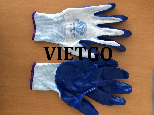Cơ hội xuất khẩu găng tay lao động sang thị trường Hoa Kỳ