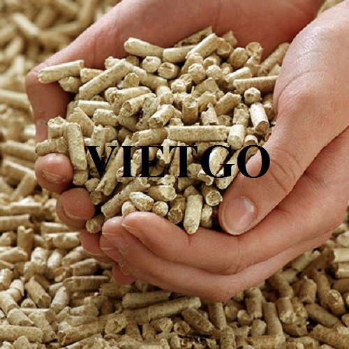 Cơ hội xuất khẩu sản phẩm viên nén mùn cưa tới thị trường Pháp
