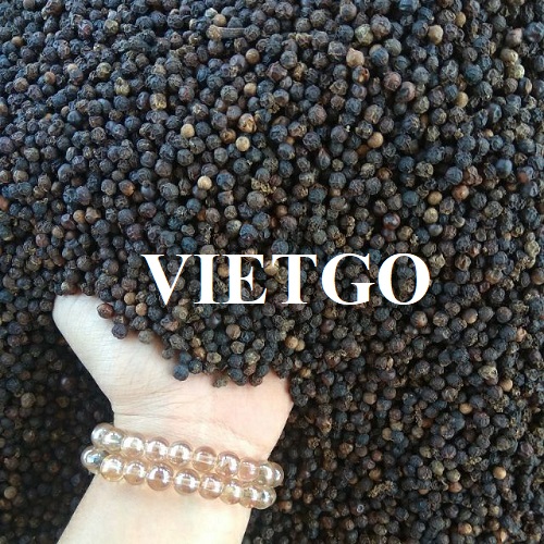 Thương vụ xuất khẩu hạt tiêu sang thị trường UAE và Pháp