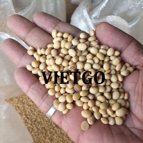 Cơ hội giao thương xuất khẩu sản phẩm đậu nành đến thị trường Trung Quốc