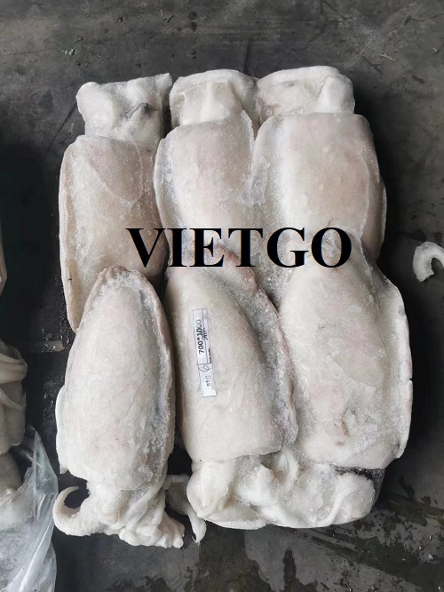 Cơ hội xuất khẩu số lượng lớn mực sang thị trường Trung Quốc