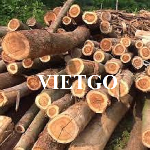 Thương vụ xuất khẩu gỗ keo tròn sang thị trường Thái Lan