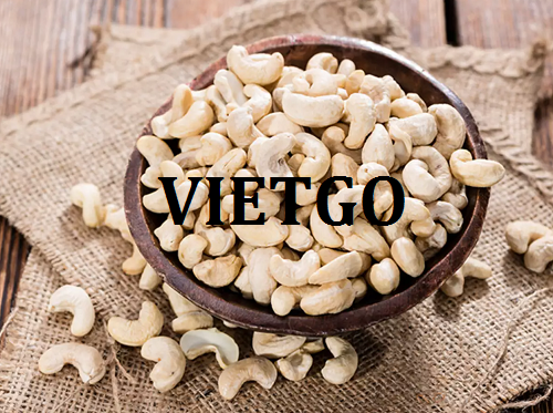 Cơ hội hợp tác với doanh nghiệp Pháp cho đơn hàng xuất khẩu hạt điều