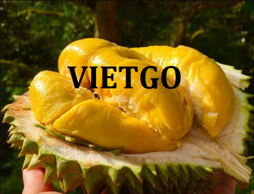 Cơ hội xuất khẩu sầu riêng sang thị trường Trung Quốc