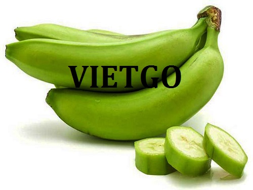 Đối tác đến từ Qatar cần tìm nhà cung cấp mặt hàng chuối Cavendish