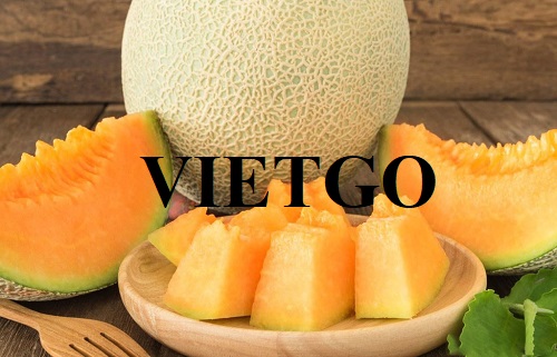 Đối tác đến từ Qatar cần tìm nhà cung cấp mặt hàng dưa lưới