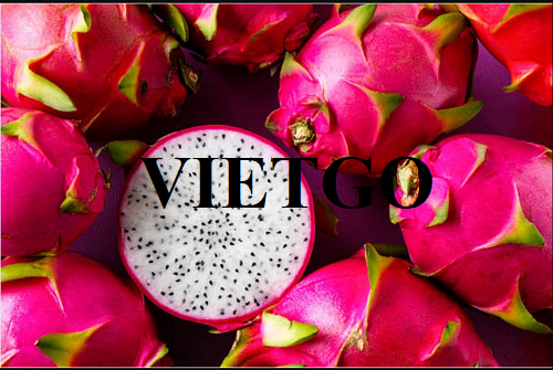 Cơ hội hợp tác với doanh nghiệp tai Ma Rốc cho đơn hàng thanh long