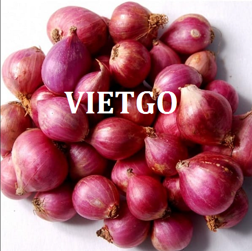Cơ hội xuất khẩu hành tím với số lượng lớn sang thị trường Oman