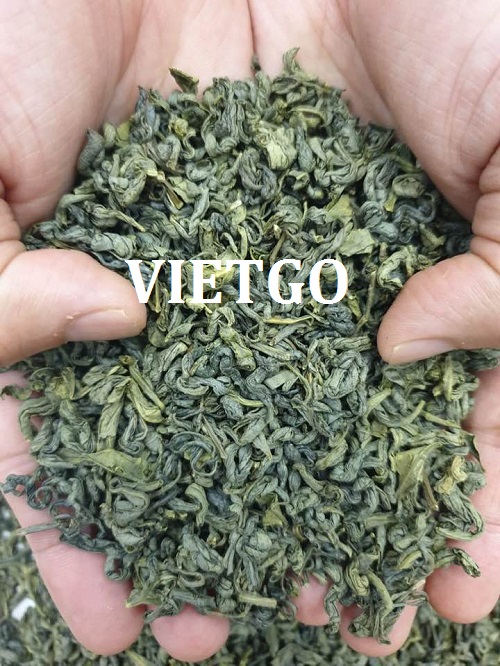 Thương vụ hợp tác xuất khẩu chè xanh đến từ vị khách hàng người Thổ Nhĩ Kỳ