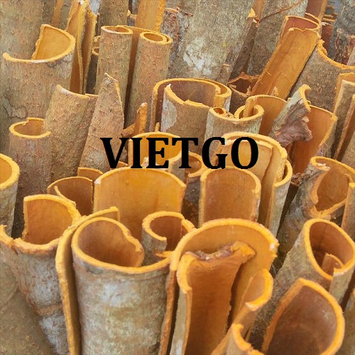 Cơ hội hợp tác với doanh nghiệp tại Ấn Độ cho đơn hàng xuất khẩu quế chẻ
