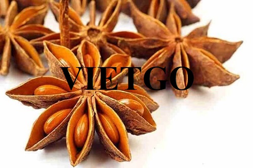 Thương vụ hợp tác xuất khẩu hoa hồi sang thị trường Ấn Độ