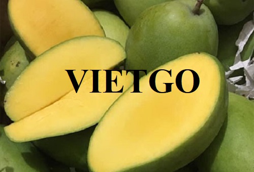 Cơ hội hợp tác với vị khách hàng người Mỹ cho đơn hàng nhập khẩu xoài tươi đến thị trường nội địa