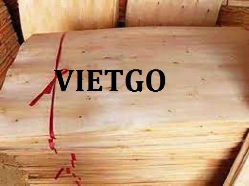 Thương vụ xuất khẩu ván bóc sang thị trường Campuchia