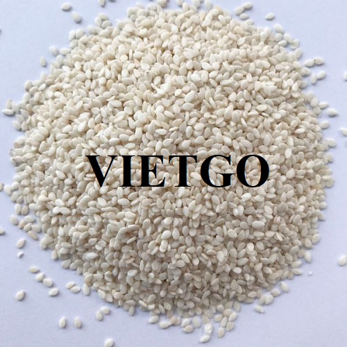 Cơ hội hợp tác xuất khẩu hạt mè đến thị trường Trung Quốc