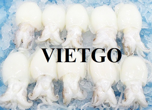Cơ hội trở thành nhà cung cấp mực nang và bạch tuộc sang thị trường Hàn Quốc