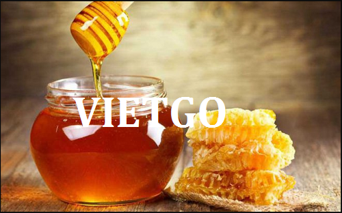 Cơ hội hợp tác với doanh nghiệp Trung Quốc cho đơn hàng mật ong