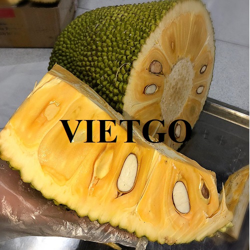 Thương vụ xuất khẩu trái mít đến thị trường Sri Lanka
