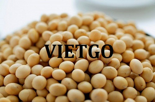 Cơ hội hợp tác xuất khẩu sản phẩm đậu nành sang thị trường Trung Quốc