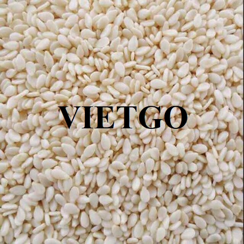 Thương vụ hợp tác xuất khẩu hạt mè sang thị trường Qatar