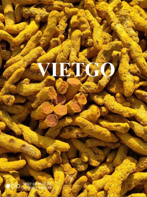 Cơ hội hợp tác xuất khẩu sản phẩm nghệ khô đến thị trường Ấn Độ