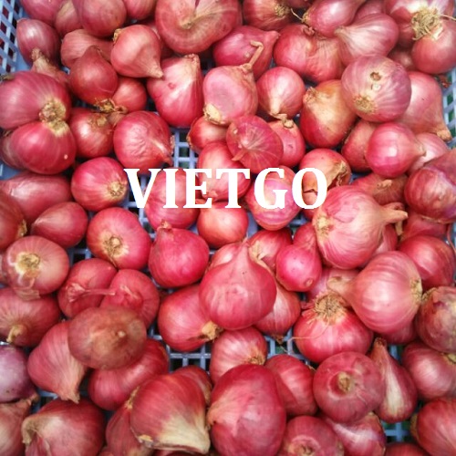 Cơ hội trở thành đối tác xuất khẩu với một doanh nghiệp tại Malaysia cho sản phẩm hành