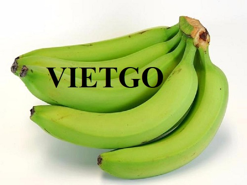 Đối tác đến từ Thổ Nhĩ Kỳ cần tìm nhà cung cấp mặt hàng chuối