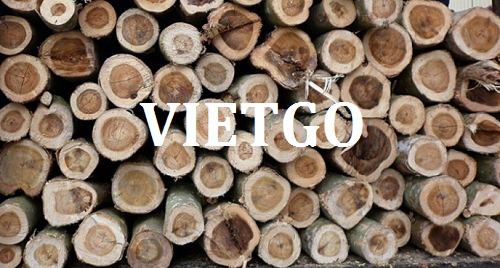 Thương vụ xuất khẩu gỗ keo tròn sang thị trường Ý