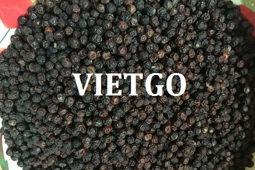 Cơ hội hợp tác với vị khách hàng đến từ Ấn Độ cho đơn hàng xuất khẩu sản phẩm hạt tiêu