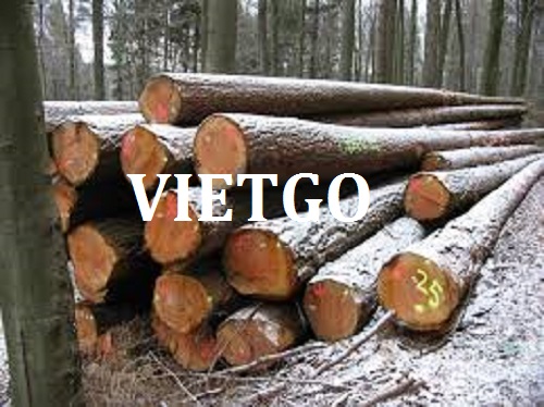 Vị khách hàng người Chile cần tìm nhà cung cấp gỗ bạch đàn tròn