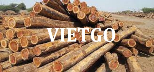 Vị khách hàng người Chile cần tìm nhà cung cấp gỗ keo tròn