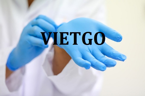 Cơ hội xuất khẩu sản phẩm găng tay cao su sang thị trường UAE