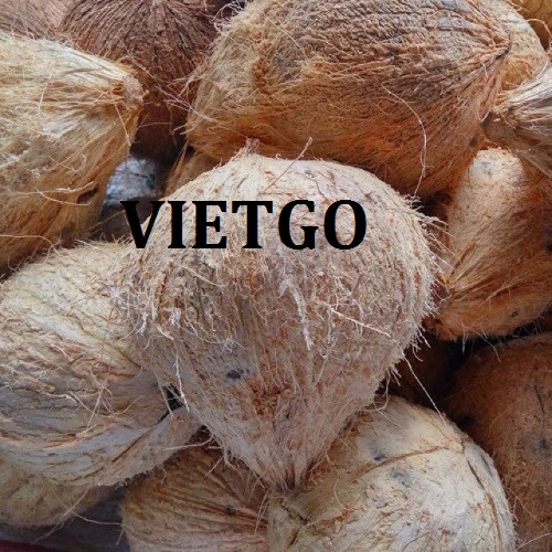 Cơ hội giao thương xuất khẩu đến thị trường UAE cho sản phẩm dừa