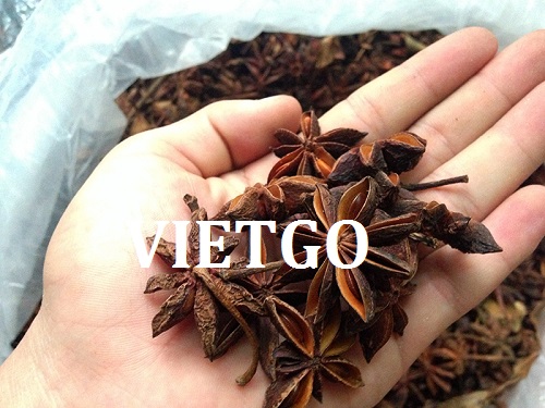 Đối tác đến từ Ấn Độ cần tìm nhà cung cấp cho mặt hàng quế, hồi