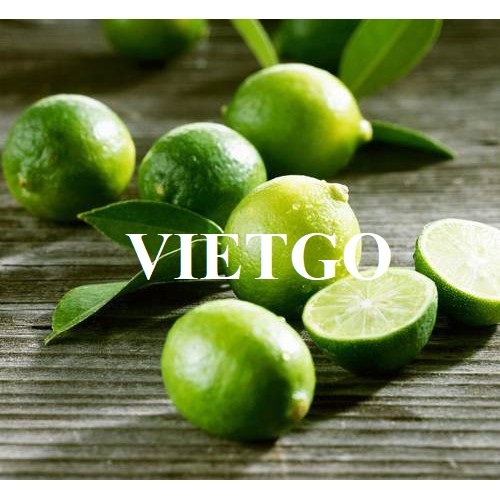 Cơ hội trở thành nhà cung cấp mặt hàng chanh xanh sang thị trường Hà Lan