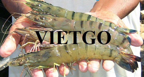Cơ hội xuất khẩu tôm đông lạnh sang thị trường Trung Quốc