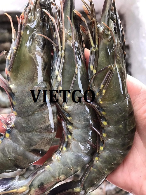 Cơ hội hợp tác xuất khẩu tôm sú sang thị trường Singapore