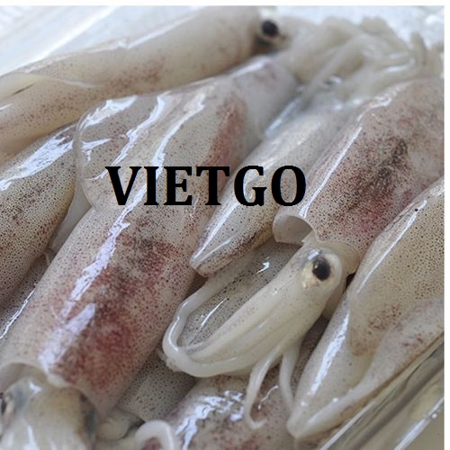 Cơ hội hợp tác xuất khẩu mực ống sang thị trường Singapore