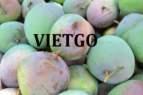 Cơ hội hợp tác để xuất khẩu sản phẩm xoài tươi đến thị trường Trung Quốc