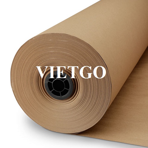 Thương vụ xuất khẩu cuộn giấy Kraft sang thị trường Thổ Nhĩ Kỳ